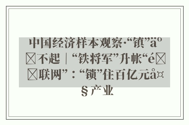 中国经济样本观察·“镇”了不起｜“铁将军”升帐“锁联网”：“锁”住百亿元大产业