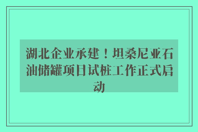 湖北企业承建！坦桑尼亚石油储罐项目试桩工作正式启动