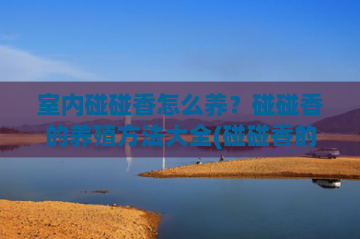 室内碰碰香怎么养？碰碰香的养殖方法大全(碰碰香的养殖方法和注意事项 碰碰香怎么养)