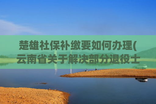楚雄社保补缴要如何办理(云南省关于解决部分退役士兵社保问题的公告)