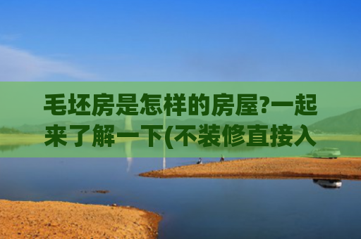 毛坯房是怎样的房屋?一起来了解一下(不装修直接入住！毛坯房成了当代年轻人新宠！省钱还是跟风？)