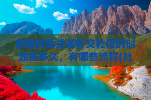特殊劳动关系补交社保的时效是多久，有哪些流程(社保没交够年限如何补交？能不能补交？)