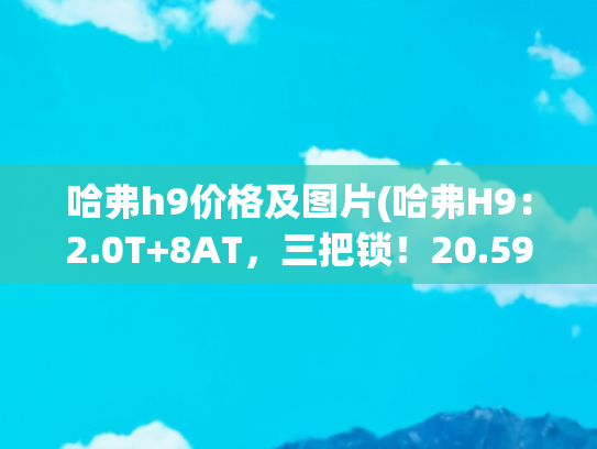 哈弗h9价格及图片(哈弗H9：2.0T+8AT，三把锁！20.59万起售，网友：这价格没槽点！)