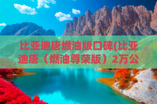 比亚迪唐燃油版口碑(比亚迪唐（燃油尊荣版）2万公里用车体验)