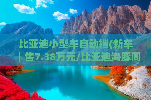 比亚迪小型车自动挡(新车｜售7.38万元/比亚迪海豚同级 曝广汽埃安AION UT 330星辉版实车)