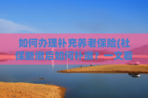如何办理补充养老保险(社保断缴后如何补缴？一文看懂补缴全流程2025最新社保指南)