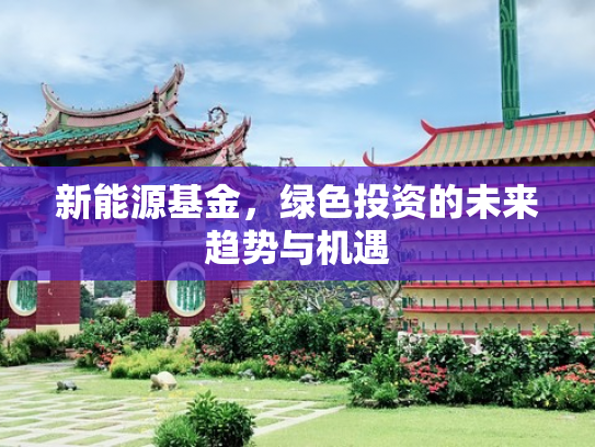 2024成都市社保退保条件及流程包括什么