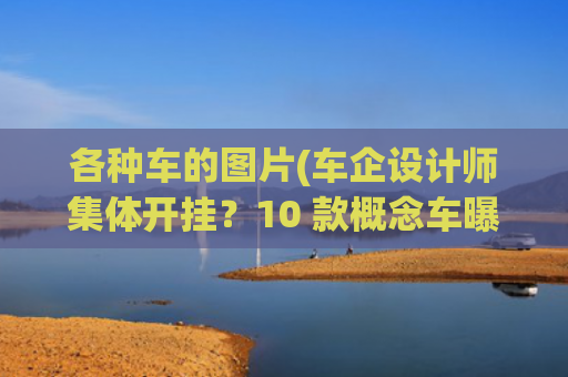 各种车的图片(车企设计师集体开挂？10 款概念车曝光，网友：脑洞太绝了！)