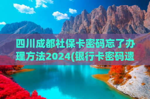 四川成都社保卡密码忘了办理方法2024(银行卡密码遗忘应对指南)