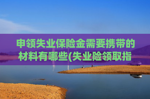 申领失业保险金需要携带的材料有哪些(失业险领取指南：保障失业后的生活)