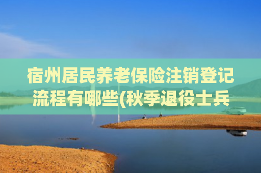 宿州居民养老保险注销登记流程有哪些(秋季退役士兵报到流程请查收)