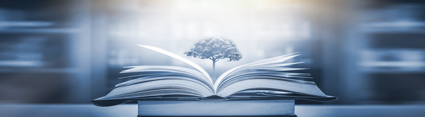 太行的刻痕：晋城景点的人文年轮