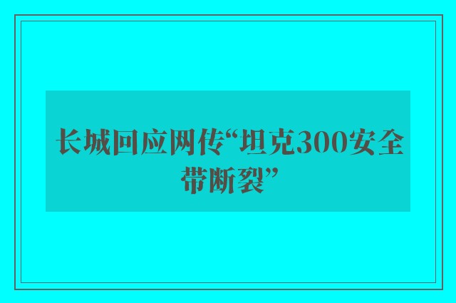 长城回应网传“坦克300安全带断裂”