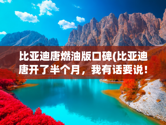 比亚迪唐燃油版口碑(比亚迪唐开了半个月，我有话要说！)