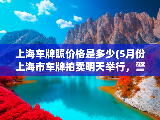上海车牌照价格是多少(5月份上海市车牌拍卖明天举行，警示价92400元)