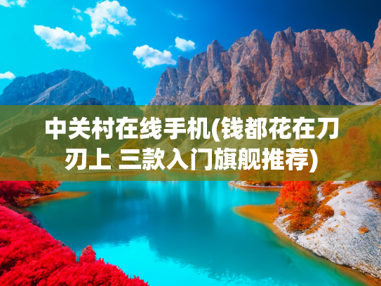 中关村在线手机(钱都花在刀刃上 三款入门旗舰推荐)